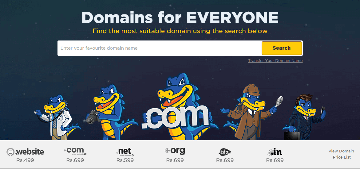 Choose a Blog Domain Name