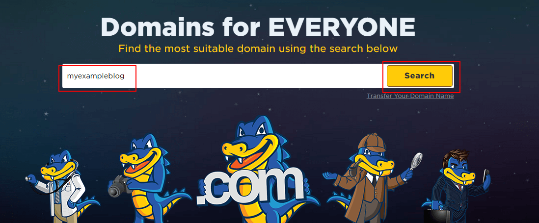 Enter Domain Name