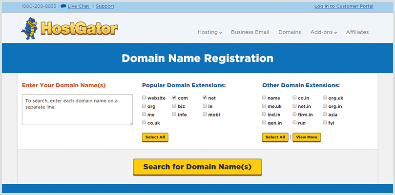 Select A Domain Name & registration